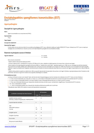 www.inrs.fr/eficatt EFICATT - Encéphalopathies spongiformes transmissibles (EST) Page 1 / 7
Encéphalopathies spongiformes transmissibles (EST)Mise à jour de la fiche
07/2013
Agent pathogène
Descriptif de l'agent pathogène
Réservoir et principales sources d'infection
Nom :
Agent transmissible non conventionnel (ATNC)
Synonyme(s) :
Prion
Type d'agent ---
Groupe de classement 3
Descriptif de l'agent :
Conformation structurale anormale d'une protéine physiologique (PrP pour cellulaire) codée par le gène PRNP (PrP pour résistante ou PrP pour scrapie par
analogie avec la tremblante du mouton qui est une Encéphalopathie spongiforme transmissible animale).
c res sc
Type de réservoir Animal
Homme
Etres vivants contaminés :
- Patients atteints des formes classiques d'EST ;
- Animaux atteints d'EST : tremblante du mouton, EST féline et du vison, maladie du dépérissement chronique des ruminants sauvages ;
- Bovins atteints d'encéphalopathie spongiforme bovine (ESB) ou "maladie de la vache folle" : épidémie apparue en 1985, due au recyclage des déchets d'abattoir
dans les farines animales utilisées dans l'alimentation des ruminants et autres mammifères et à l'origine, en 1996 chez l'homme, d'une nouvelle forme d'EST appelée
v-MCJ (en rapport probable avec l'ingestion de dérivés bovins infectés du fait des similitudes observées entre la souche de l'agent responsable de la v-MCJ et celles de
l'ESB) ;
- Patients cliniquement suspects ou atteints de v-MCJ, auxquels s'ajouteraient la population des porteurs de l'agent infectieux asymptomatiques dont l'existence a été
confirmée, mais dont on ignore le nombre et la capacité à développer la maladie.
Principale(s) source(s) :
Les tissus et fluides humains sont classés* selon soit des données histopathologiques soit les résultats de la détection de la PrP et/ou du titre infectieux :
H : Tissu à haute infectiosité, pour lesquels un niveau ou un titre élevé d'infectiosité est observé en phase terminale de l'ensemble des EST humaines.
B : Tissu à niveau d'infectiosité inférieur aux tissus classés H mais à infectiosité démontrée pour au moins une EST humaine.
S : Tissu sans infectiosité détectée pour lesquels les résultats des tests ont été à ce jour constamment négatifs pour l'ensemble des EST humaines.
NT : Tissu à infectiosité non testée.
+/- : Tissus à infectiosité possible, pour lesquels des résultats préliminaires positifs sont à confirmer.
*Classification selon l'OMS 2010 (révision à mesure de l'avancée des connaissances).
Localisation anatomique des tissus humains
EST humaines
V-MCJ Autres EST humaines
Système nerveux central
(cerveau y compris l'hypophyse), moelle épinière
H H
Liquide céphalo-rachidien S S
Oeil
Rétine/Nerf optique
Cornée
H
NT
H
B
Ganglion spinal H H
Ganglion trijumeau H H
Dure-mère H H
Muqueuse nasale olfactive NT H
Muqueuse nasale (hors muqueuse olfactive) NT S
sc
 