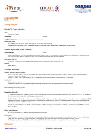 www.inrs.fr/eficatt EFICATT - Leptospirose Page 1 / 4
LeptospiroseMise à jour de la fiche
11/2015
Agent pathogène
Descriptif de l'agent pathogène
Réservoir et principales sources d'infection
Viabilité et infectiosité
Données épidémiologiques
Population générale
Milieu professionnel
Pathologie
Nom :
Leptospira interrogans
Type d'agent Bactérie
Groupe de classement 2
Descriptif de l'agent :
Plus de 300 sérovars répartis en plus de 20 sérogroupes dont certains sont saprophytes.
Sérovars les plus fréquents en France : icterohaemorrhagiae (31 % des cas en France métropolitaine) , grippotyphosa, australis, canicola...
Type de réservoir Animal
Nombreuses espèces de mammifères sauvages et domestiques : rongeurs (rats+++), chien, cheval, porc, bovin... Les animaux infectés peuvent être malades et/ou
sont porteurs sains. Ils éliminent les leptospires dans leurs urines et contaminent les milieux hydriques et le sol.
Principale(s) source(s) :
Les animaux infectés éliminent les leptospires dans leurs urines et contaminent les milieux hydriques et le sol.
Vecteur :
Pas de vecteur
Viabilité, résistance physico-chimique :
Survie dans le milieu extérieur de plusieurs jours à plusieurs mois selon les conditions environnementales (eau douce, température tropicale, pH proche de la
neutralité, ensoleillement modeste).
Sensible à la chaleur (> 60° C), à la salinité, aux UV, aux désinfectants classiques, aux pH acides ou très alcalins (> 8), à la dessication.
Infectiosité :
Dose infectieuse inconnue.
Pathogène de l'animal et de l'homme, infections asymptomatiques fréquentes chez de nombreux animaux (surtout les rongeurs).
La leptospirose représente un problème de santé publique majeur dans de nombreux pays, notamment en Amérique Latine et en Asie du Sud-Est. On estime à plus
de un million le nombre de cas sévères de leptospirose chaque année.
De 2006 à 2013, entre 186 et 385 cas de leptospirose ont été diagnostiqués en France métropolitaine, ce qui représente une incidence moyenne de 0,50 pour 100 000
habitants. La répartition annuelle des cas confirme le caractère saisonnier de la leptospirose, avec un pic estivo-automnal avec 60 % des cas de leptospirose qui se
répartissent sur les mois de juillet à novembre.
Dans les départements d'Outre-mer (DOM), la leptospirose est un problème de santé publique important avec des taux d'incidences de 10 à 100 fois plus élevés
qu'en métropole.
30 % des cas enregistrés par le CNR pourraient être d'origine professionnelle.
En laboratoire :
Cas en laboratoire d'analyse (médicales, vétérinaires...) publiés depuis 1985 : Aucun cas de contamination professionnelle en laboratoire d'analyses n’a été publié.
Cas en laboratoire de recherche publiés depuis 1985 : 2 cas survenus en laboratoire de recherche (deux coupures avec produits de culture).
Cas historiques publiés avant 1985 : 67 cas publiés antérieurs à 1985 (dont de nombreux cas liés à la manipulation d’ animaux infectés).
 