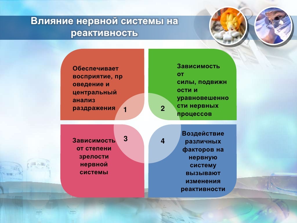 реактивные системы человека. роль нервной системы в реактивности. реактивность в общении. реактивность системы. реактивность системы.