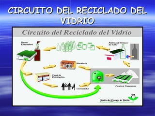 CIRCUITO DEL RECICLADO DEL
          VIDRIO
 