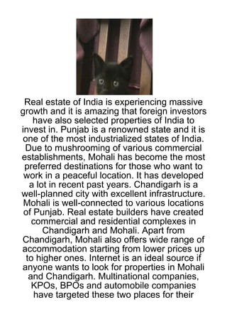Real estate of India is experiencing massive
growth and it is amazing that foreign investors
    have also selected properties of India to
invest in. Punjab is a renowned state and it is
one of the most industrialized states of India.
 Due to mushrooming of various commercial
establishments, Mohali has become the most
 preferred destinations for those who want to
 work in a peaceful location. It has developed
  a lot in recent past years. Chandigarh is a
well-planned city with excellent infrastructure.
 Mohali is well-connected to various locations
 of Punjab. Real estate builders have created
   commercial and residential complexes in
      Chandigarh and Mohali. Apart from
Chandigarh, Mohali also offers wide range of
accommodation starting from lower prices up
 to higher ones. Internet is an ideal source if
anyone wants to look for properties in Mohali
  and Chandigarh. Multinational companies,
   KPOs, BPOs and automobile companies
    have targeted these two places for their
 