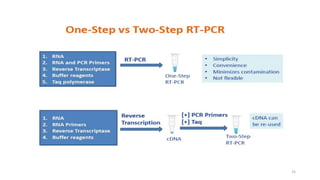 Reverse Transcript Pcr Machine Real time pcr, reverse transcripta pcr, gene expression methods and ...