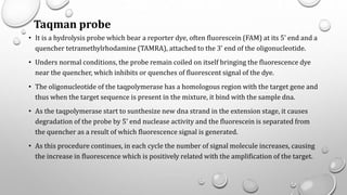 Taqman probe
• It is a hydrolysis probe which bear a reporter dye, often fluorescein (FAM) at its 5’ end and a
quencher tetramethylrhodamine (TAMRA), attached to the 3’ end of the oligonucleotide.
• Unders normal conditions, the probe remain coiled on itself bringing the fluorescence dye
near the quencher, which inhibits or quenches of fluorescent signal of the dye.
• The oligonucleotide of the taqpolymerase has a homologous region with the target gene and
thus when the target sequence is present in the mixture, it bind with the sample dna.
• As the taqpolymerase start to sunthesize new dna strand in the extension stage, it causes
degradation of the probe by 5’ end nuclease activity and the fluorescein is separated from
the quencher as a result of which fluorescence signal is generated.
• As this procedure continues, in each cycle the number of signal molecule increases, causing
the increase in fluorescence which is positively related with the amplification of the target.
 