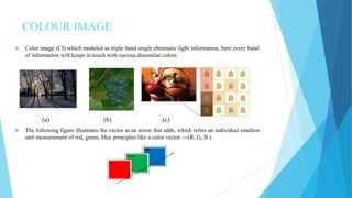 COLOUR IMAGE
 Color image (CI) which modeled as triple band single chromatic light information, here every band
of information will keeps in touch with various dissimilar colors.
 The following figure illustrates the vector as an arrow that adds, which refers an individual smallest
unit measurement of red, green, blue principles like a color vector ---(R, G, B ).
(a) (b) (c)
 