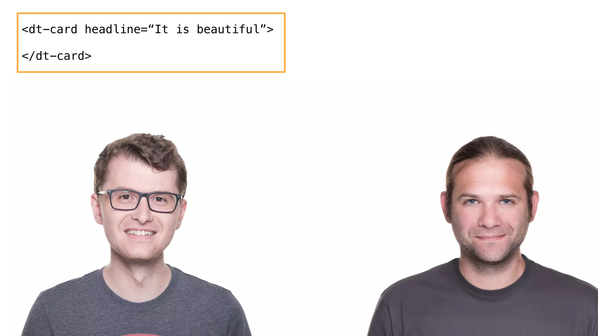 <dt-card headline=“It is beautiful”>
</dt-card>
 