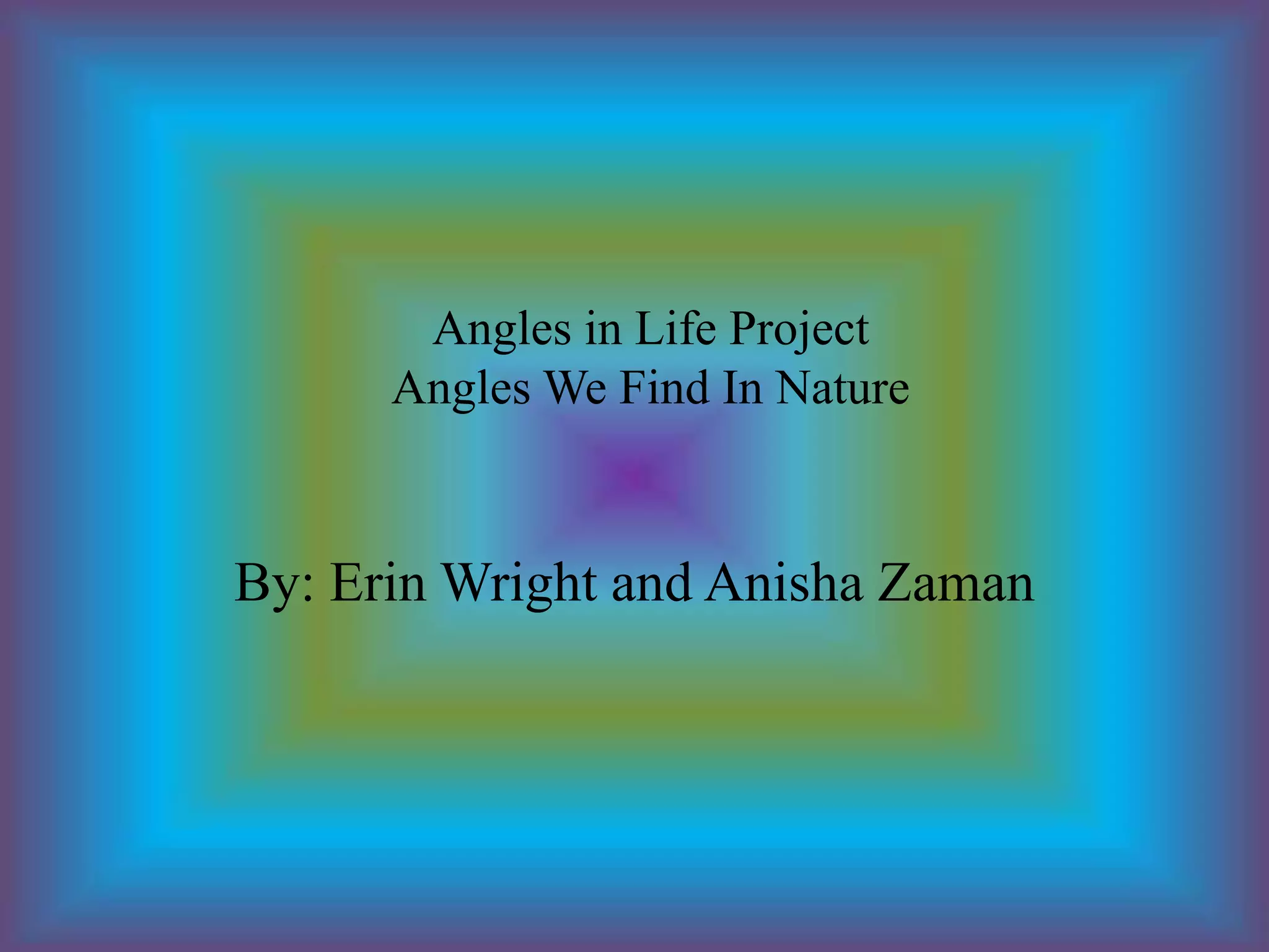 Angles In Life Project PPT Angles in life project ppt
