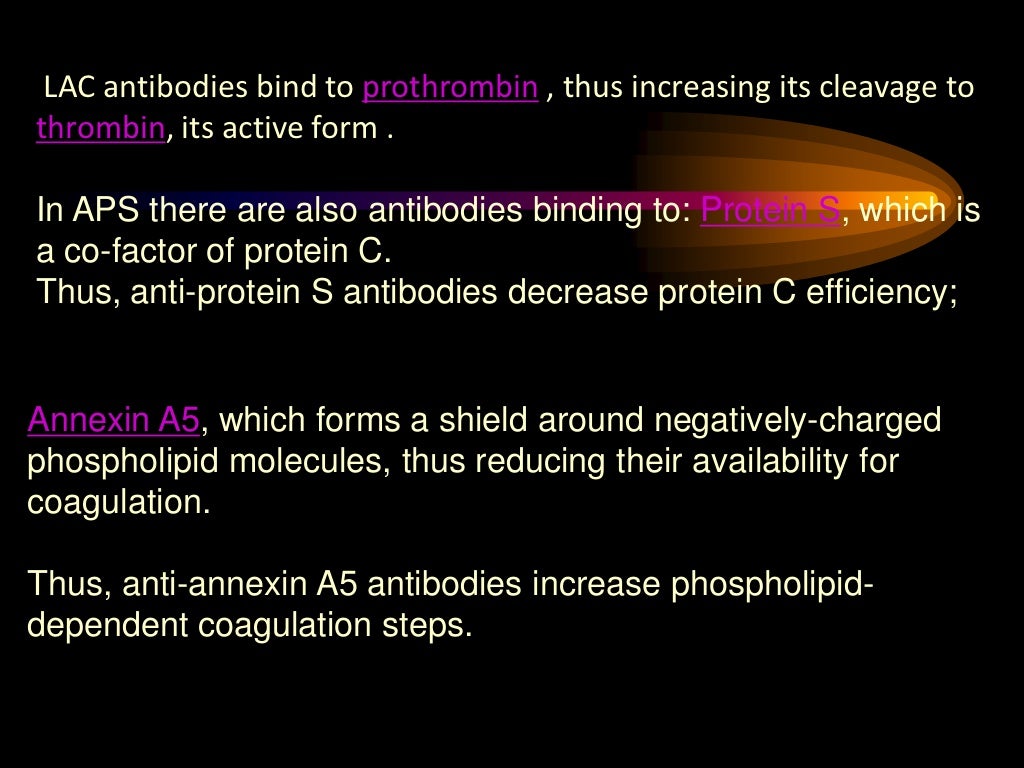anti-phospholipid-antibody-ppt
