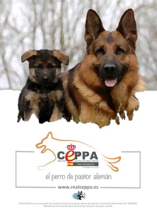 Fundado#en#1978# 
el perro de pastor alemán 
www.realceppa.es* 
El#Real#CEPPA#es#una#asociación#de#criadores#de#perros#de#pastor#alemán#de#raza#pura#reconocida#oficialmente#R.D.#558/2001# 
Miembro#de#la#Asociación#Mundial#de#Clubes#del#perro#de#pastor#alemán# 
 
