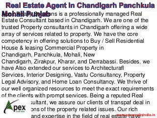 Apex Realty Solutions is a professionally managed Real
Estate Consultant based in Chandigarh. We are one of the
trusted Property consultants in Chandigarh offering a wide
array of services related to property. We have the core
competency in offering solutions to Buy / Sell Residential
House & leasing Commercial Property in
Chandigarh, Panchkula, Mohali, New
Chandigarh, Zirakpur, Kharar, and Derrabassi. Besides, we
have Also extended our services to Architecturafl
Services, Interior Designing, Vastu Consultancy, Property
Legal Advisory, and Home Loan Consultancy. We thrive of
our well organized resources to meet the exact requirements
of the clients with prompt services. Being a reputed Real
Estate Consultant, we assure our clients of transpaf deal in
all transactions of the property related issues. Our rich
experience and expertise in the field of real estate havewww.apexrealtyindia.in
 