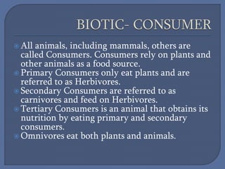The Forest Ecosystem and its Classification | PPTX