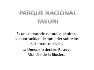 PARQUE NACIONAL YASUNI Es un laboratorio natural que ofrece la oportunidad de aprender sobre los sistemas tropicales La Unesco lo declare Reserva Mundial de la Biosfera. 