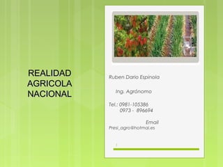 1
REALIDADREALIDAD
AGRICOLAAGRICOLA
NACIONALNACIONAL
Ruben Dario Espinola
Ing. Agrónomo
Tel.: 0981-105386
0973 - 896694
Email
Presi_agro@hotmai.es
 