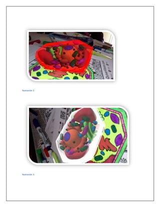 Ilustración 2
Ilustración 3
 