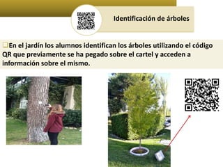 Identificación de árboles 
En el jardín los alumnos identifican los árboles utilizando el código 
QR que previamente se ha pegado sobre el cartel y acceden a 
información sobre el mismo. 
 
