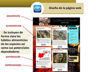 Diseño de la página web 
DESCRIPCIÓN 
ALIMENTACIÓN 
Se incluyen de 
forma clara los 
hábitos alimenticios 
de las especies así 
como sus potenciales 
depredadores 
DISTRIBUCIÓN 
DEPREDADORES 
 