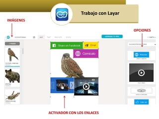Trabajo con Layar 
IMÁGENES 
ACTIVADOR CON LOS ENLACES 
OPCIONES 
 