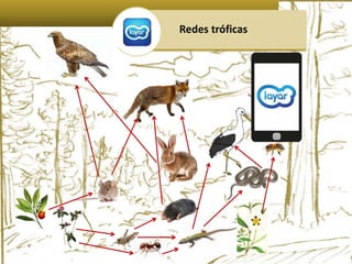 Redes tróficas 
 