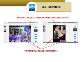 En el laboratorio 
FOTOGRAFÍAS DE LAS PREPARACIONES CARGADAS EN LAYAR 
CONTENIDO ASOCIADO LAS IMÁGENES 
 
