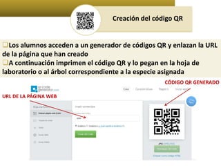 Creación del código QR 
Los alumnos acceden a un generador de códigos QR y enlazan la URL 
de la página que han creado 
A continuación imprimen el código QR y lo pegan en la hoja de 
laboratorio o al árbol correspondiente a la especie asignada 
URL DE LA PÁGINA WEB 
CÓDIGO QR GENERADO 
 