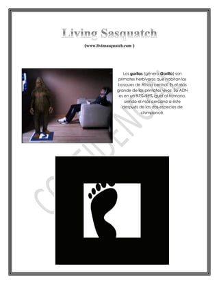 Los gorilas (género Gorilla) son
 primates herbívoros que habitan los
bosques de África central. Es el más
grande de los primates vivos. Su ADN
 es en un 97%–98% igual al humano,
     siendo el más cercano a éste
   después de las dos especies de
              chimpancé.
 