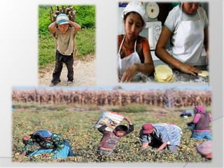 Realidad educativa de Guatemala