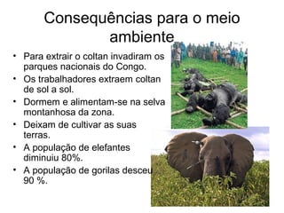 Consequências para o meio 
ambiente 
• Para extrair o coltan invadiram os 
parques nacionais do Congo. 
• Os trabalhadores extraem coltan 
de sol a sol. 
• Dormem e alimentam-se na selva 
montanhosa da zona. 
• Deixam de cultivar as suas 
terras. 
• A população de elefantes 
diminuiu 80%. 
• A população de gorilas desceu 
90 %. 
 