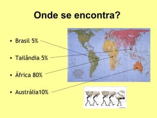 Onde se encontra? 
• Brasil 5% 
• Tailândia 5% 
• África 80% 
• Austrália10% 
 
