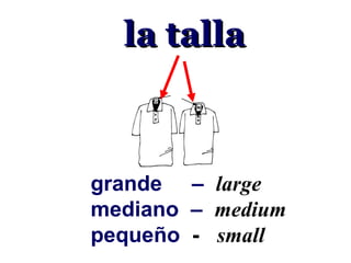 la talla



grande – large
mediano – medium
pequeño - small
 