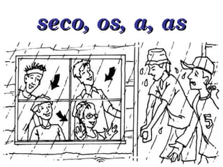 seco, os, a, as 