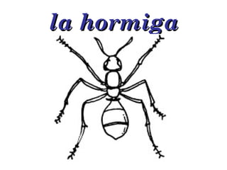 la hormiga 