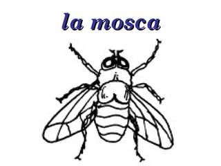 la mosca 