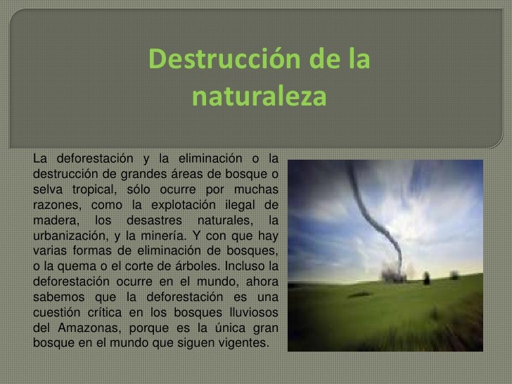 NO A LA DESTRUCCION DE LA NATURALEZA