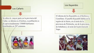 Los Kayambis
Los Cañaris
El idioma de los Kayambis es el Kichwa y
Castellano. El pueblo Kayambi habita en la
región de la ...