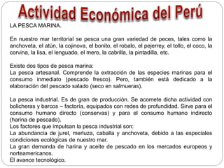 LA PESCA MARINA.
En nuestro mar territorial se pesca una gran variedad de peces, tales como la
anchoveta, el atún, la cojinova, el bonito, el robalo, el pejerrey, el tollo, el coco, la
corvina, la lisa, el lenguado, el mero, la cabrilla, la pintadilla, etc.
Existe dos tipos de pesca marina:
La pesca artesanal. Comprende la extracción de las especies marinas para el
consumo inmediato (pescado fresco). Pero, también está dedicado a la
elaboración del pescado salado (seco en salmueras).
La pesca industrial. Es de gran de producción. Se acomete dicha actividad con
bolicheras y barcos – factoría, equipados con redes de profundidad. Sirve para el
consumo humano directo (conservas) y para el consumo humano indirecto
(harina de pescado).
Los factores que impulsan la pesca industrial son:
La abundancia de jurel, merluza, caballa y anchoveta, debido a las especiales
condiciones ecológicas de nuestro mar.
La gran demanda de harina y aceite de pescado en los mercados europeos y
norteamericanos.
El avance tecnológico.
 