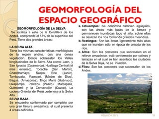 GEOMORFOLOGÍA DEL
                     ESPACIO GEOGRÁFICO          a. Tahuampas: Se denomina también aguajales,
     GEOMORFOLOGÍA DE LA SELVA                      son las áreas más bajas de la llanura y
 Se localiza a este de la Cordillera de los         permanecen inundadas todo el año, sobre ellas
Andes, comprende el 57% de la superficie del        se deslizan los ríos formando grandes meandros.
Perú. Tiene dos grandes áreas:                   b. Restingas: Son las áreas ligeramente más altas
                                                    que se inundan sólo en época de crecida de los
LA SELVA ALTA                                       ríos.
Tiene las mismas características morfológicas    c. Altos: Son las porciones que sobresalen en el
de la región andina, con una densa                  relieve amazónico, está conformado por colinas y
vegetación. Donde sobresalen los Valles             terrazas en el cual se han asentado las ciudades
longitudinales de la Selva Alta como: Jaen, y       de la Selva Baja, no se inundan.
San Ignacio (Cajamarca), Huallaga Central (el    d. Filos: Son las porciones que sobresalen de los
más extenso), Tocache (San Martín),                 Andes.
Chanchamayo,        Satipo,    Ene    (Junín),
Tambopata, Iñambari, (Madre de Dios),
Bagua, (Amazonas), Tingo María (Huánuco),
Oxapampa, Palcazu (Pasco). Marcapata,
Quincemil y la Convención (Cuzco). La
cadena Oriental del Perú pertenece a la Selva
Alta.
SELVA BAJA
Se encuentra conformado por completo por
una gran llanura amazónica, el cual presenta
4 áreas definidas.
                                                                MDLRCH 2013                            35
 