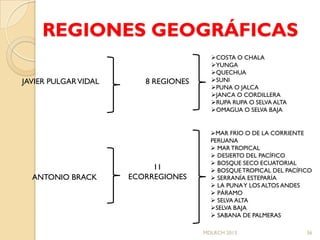 REGIONES GEOGRÁFICAS
                                        COSTA O CHALA
                                        YUNGA
                                        QUECHUA
JAVIER PULGAR VIDAL      8 REGIONES     SUNI
                                        PUNA O JALCA
                                        JANCA O CORDILLERA
                                        RUPA RUPA O SELVA ALTA
                                        OMAGUA O SELVA BAJA


                                        MAR FRIO O DE LA CORRIENTE
                                        PERUANA
                                         MAR TROPICAL
                                         DESIERTO DEL PACÍFICO
                                         BOSQUE SECO ECUATORIAL
                           11            BOSQUE TROPICAL DEL PACÍFICO
  ANTONIO BRACK       ECORREGIONES       SERRANÍA ESTEPARÍA
                                         LA PUNA Y LOS ALTOS ANDES
                                         PÁRAMO
                                         SELVA ALTA
                                        SELVA BAJA
                                         SABANA DE PALMERAS

                                      MDLRCH 2013                   36
 