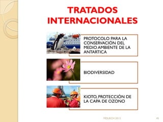 TRATADOS
INTERNACIONALES
      PROTOCOLO PARA LA
      CONSERVACIÓN DEL
      MEDIO AMBIENTE DE LA
      ANTARTICA



      BIODIVERSIDAD




      KIOTO, PROTECCIÓN DE
      LA CAPA DE OZONO


              MDLRCH 2013    45
 