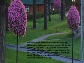 •No obstante, el ritmo de crecimiento del
IDH guatemalteco es mayor que el de otros
países y regiones. La tasa de crecimiento
promedio anual del país en ese período fue
de 0.95%, mayor que el promedio mundial
anual (0.65%) y que el promedio
latinoamericano (0.73%).
 