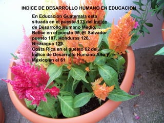 INDICE DE DESARROLLO HUMANO EN EDUCACION
En Educación Guatemala esta
situada en el puesto 133 del Índice
de Desarrollo Humano Medio.
Belice en el puesto 96, El Salvador
puesto 107, Honduras 120,
Nicaragua 129.
Costa Rica en el puesto 62 del
Índice de Desarrollo Humano Alto y
México en el 61
 