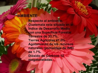 AMBIENTE
Respecto al ambiente,
Guatemala esta situada en el
Índice de Desarrollo Medio
con una Superficie Forestal
Terrestre de 33.7%.
Tierras Agrícolas 41.0%.
Agotamiento de los recursos
naturales (porcentaje de INB)
de 1.7%.
Dióxido de Carbono 12
megatoneladas.
 