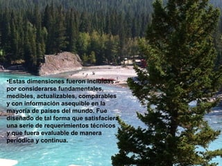 •Estas dimensiones fueron incluidas
por considerarse fundamentales,
medibles, actualizables, comparables
y con información asequible en la
mayoría de países del mundo. Fue
diseñado de tal forma que satisfaciera
una serie de requerimientos técnicos
y que fuera evaluable de manera
periódica y continua.
 
