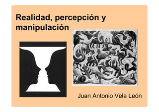 Realidad, percepción y
manipulación




               Juan Antonio Vela León
 
