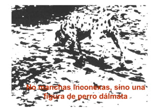No manchas inconexas, sino una
    figura de perro dálmata
 
