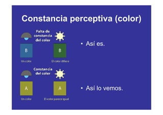 Constancia perceptiva (color)

              • Así es.




              • Así lo vemos.
 