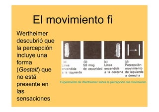 El movimiento fi
Wertheimer
descubrió que
la percepción
incluye una
forma
(Gestalt) que
no está
                Experimento de Wertheimer sobre la percepción del movimiento
presente en
las
sensaciones
 