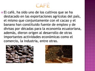  Elcafé, ha sido uno de los cultivos que se ha
 destacado en las exportaciones agrícolas del país,
 el mismo que conjuntamente con el cacao y el
 banano han constituido fuente de empleo y de
 divisas por décadas para la economía ecuatoriana,
 además, dieron origen al desarrollo de otras
 importantes actividades económicas como el
 comercio, la industria, entre otras.
 