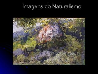 Imagens do Naturalismo 