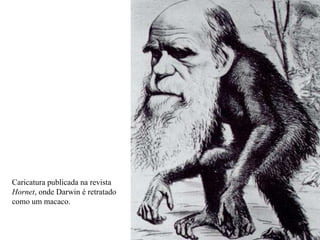 Caricatura publicada na revista
Hornet, onde Darwin é retratado
como um macaco.
 