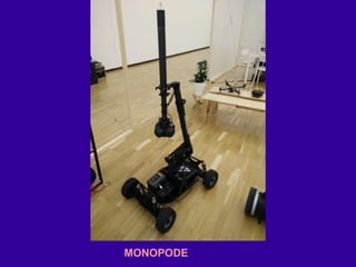 MONOPODE
 