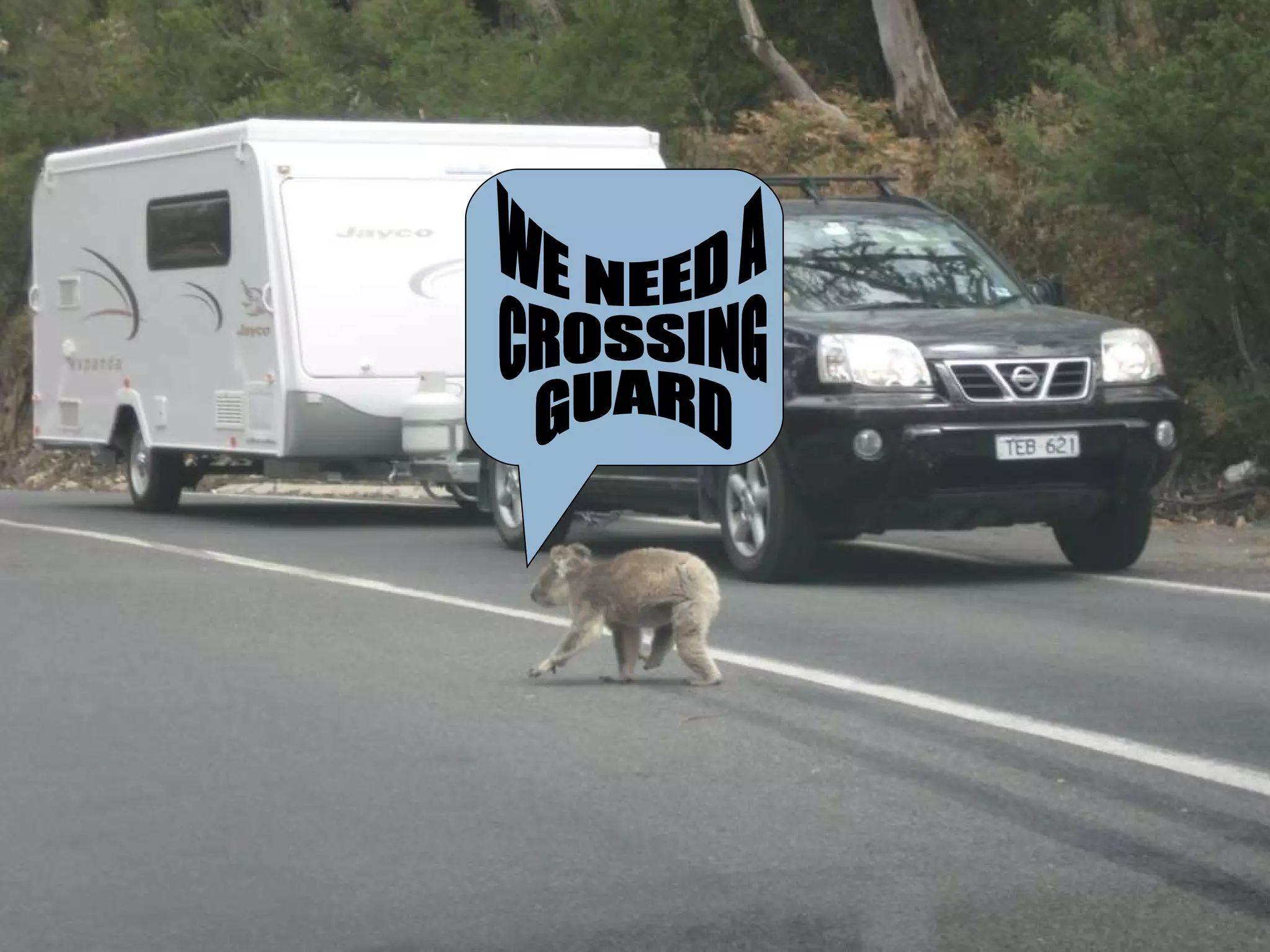 WE NEED A CROSSING  GUARD 